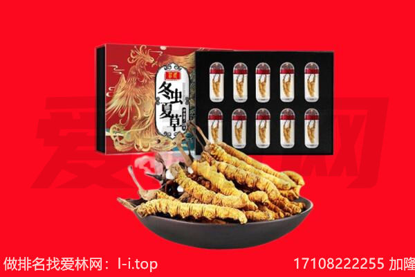 大柴旦县虫草回收